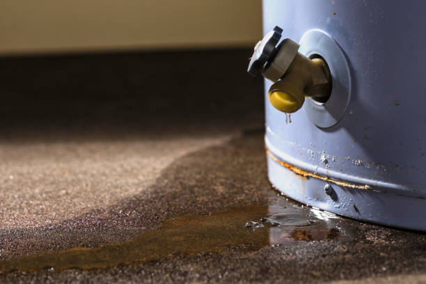 Best Water damage contractors near me  in Mount Vernon, IN