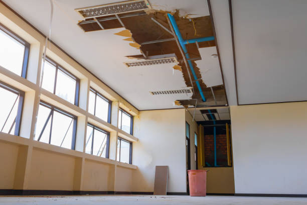 Best Water damage restoration near me  in Mount Vernon, IN