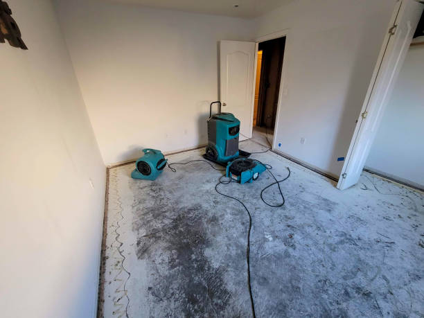 Best Carpet water damage restoration  in Mount Vernon, IN