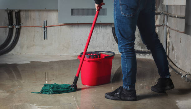 Best Basement water damage restoration  in Mount Vernon, IN