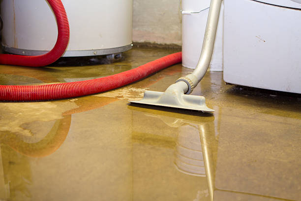 Best Sewage cleanup and water damage restoration  in Mount Vernon, IN