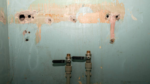 Best Emergency water damage restoration  in Mount Vernon, IN