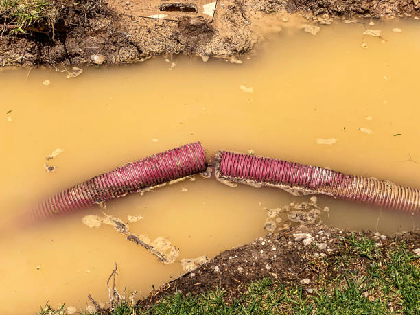 Best Emergency water damage restoration  in Mount Vernon, IN