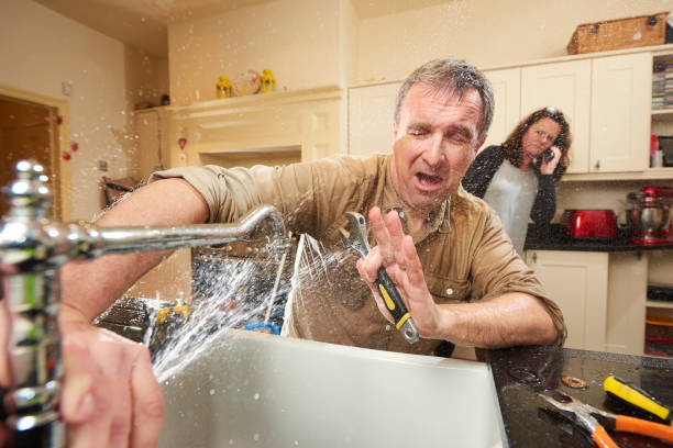 Best Flooded house restoration  in Mount Vernon, IN